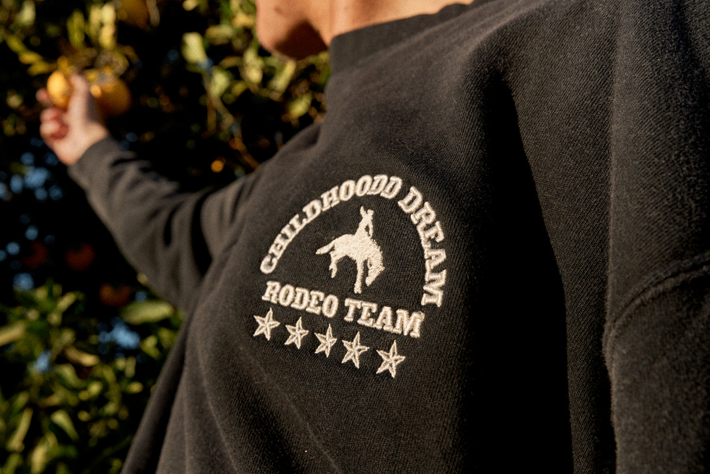CHILDHOOD DREAM RODEO CREWNECK - SUNDANCE 2026